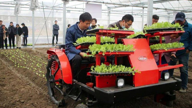 小型颗粒饲料机：揭秘其工作原理与选购要点